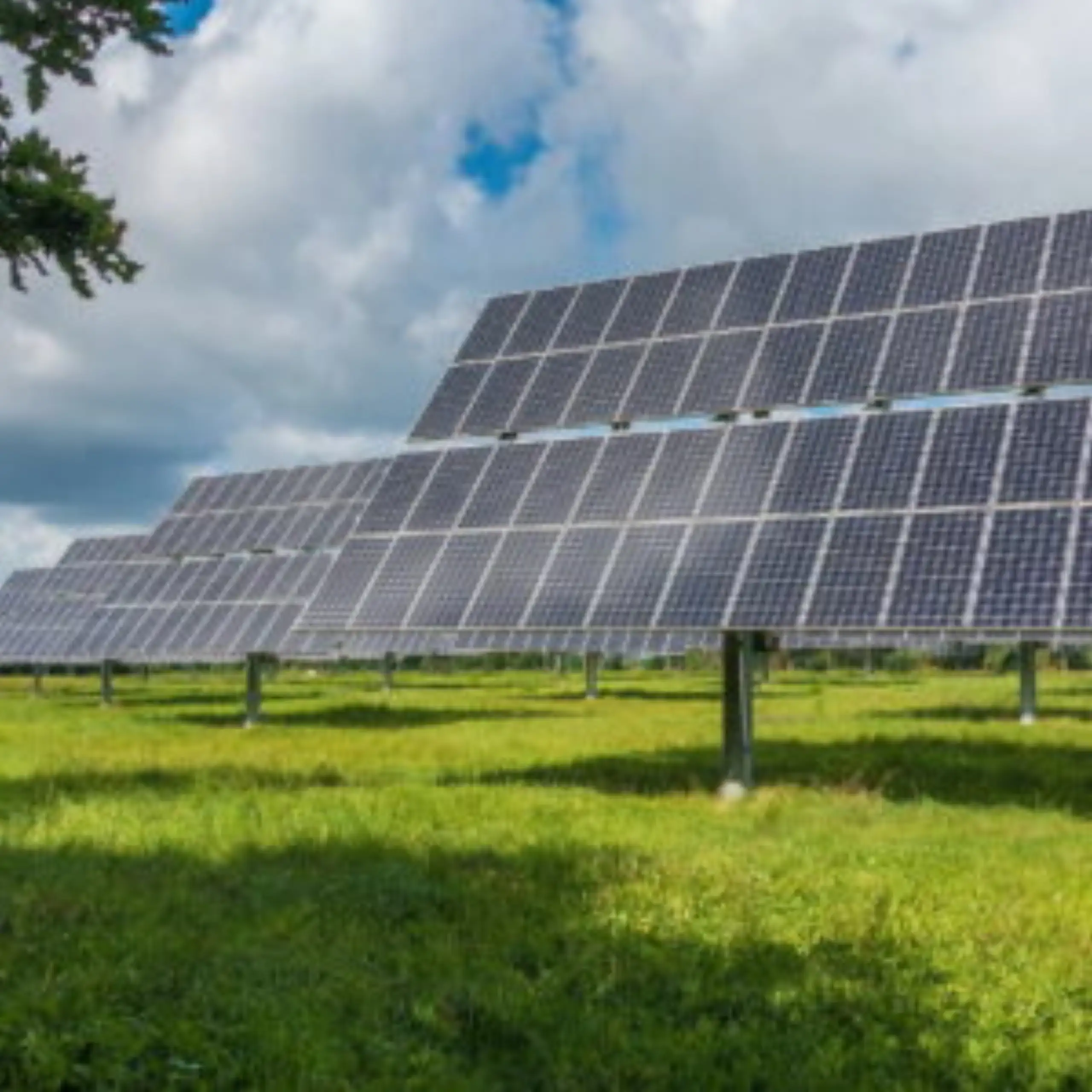 High-Efficiency Monocrystalline Solar Panels